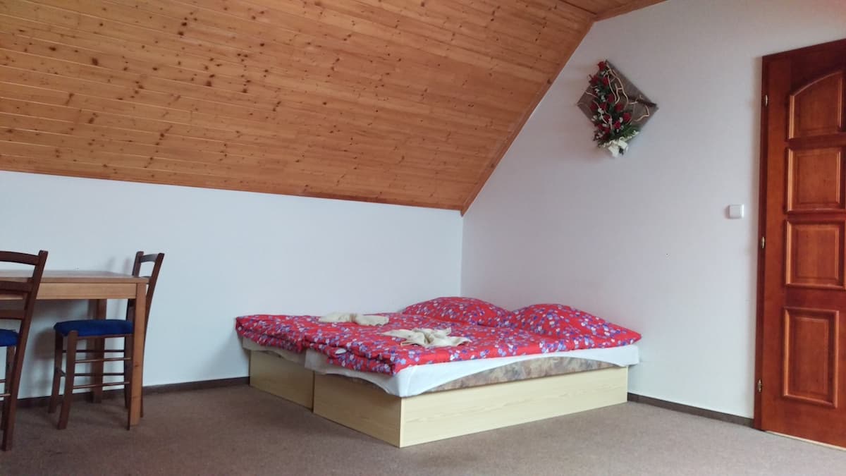 Pokoj 3 — Světlý se střešními okny – foto 2